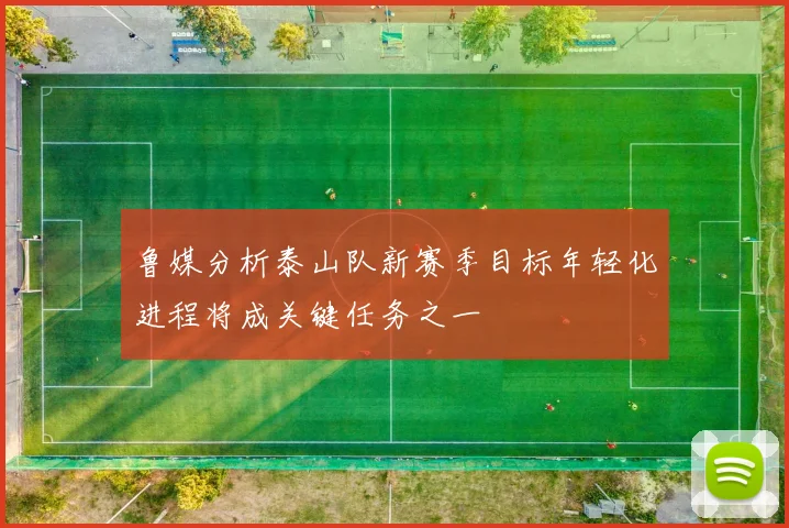 鲁媒分析泰山队新赛季目标年轻化进程将成关键任务之一