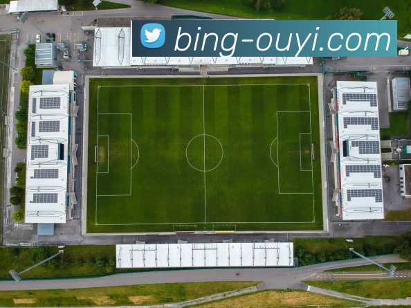 App Interface Preview